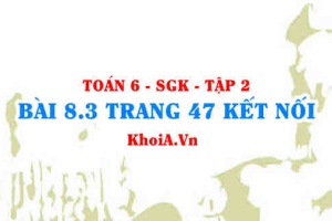 Bài 8.3 trang 47 Toán 6 Tập 2 Kết nối tri thức